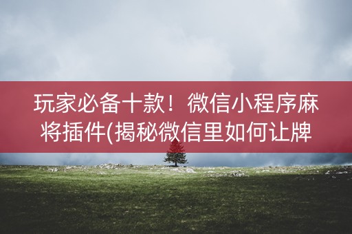 玩家必备十款！微信小程序麻将插件(揭秘微信里如何让牌变好)