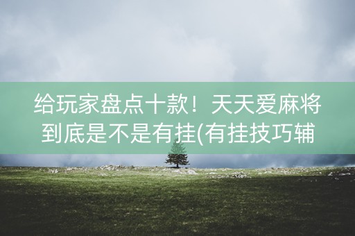 给玩家盘点十款！天天爱麻将到底是不是有挂(有挂技巧辅助器)