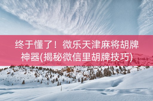 终于懂了！微乐天津麻将胡牌神器(揭秘微信里胡牌技巧)