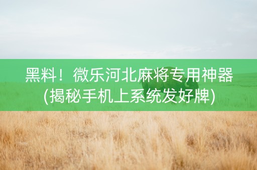 黑料！微乐河北麻将专用神器(揭秘手机上系统发好牌)