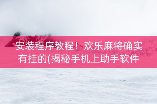 安装程序教程！欢乐麻将确实有挂的(揭秘手机上助手软件)