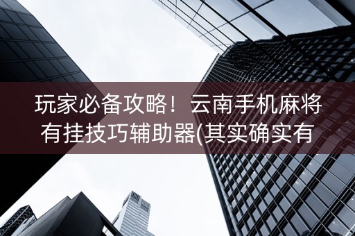 玩家必备攻略！云南手机麻将有挂技巧辅助器(其实确实有挂)