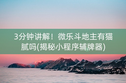 3分钟讲解！微乐斗地主有猫腻吗(揭秘小程序辅牌器)
