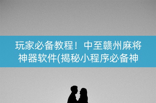 玩家必备教程！中至赣州麻将神器软件(揭秘小程序必备神器)