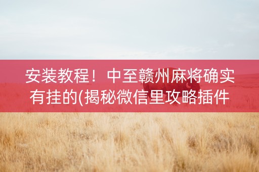 安装教程！中至赣州麻将确实有挂的(揭秘微信里攻略插件)
