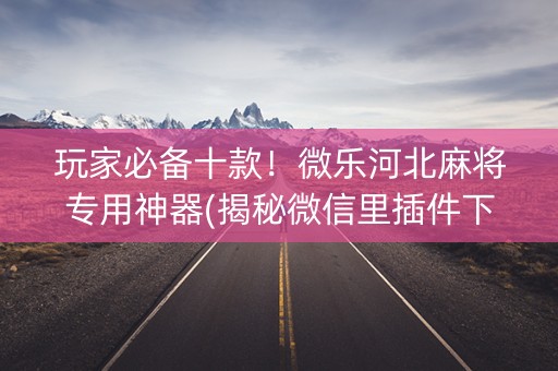 玩家必备十款！微乐河北麻将专用神器(揭秘微信里插件下载)