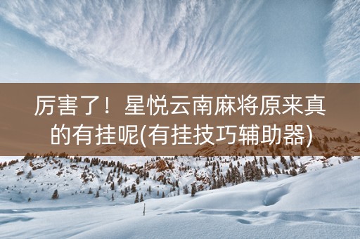 厉害了！星悦云南麻将原来真的有挂呢(有挂技巧辅助器)