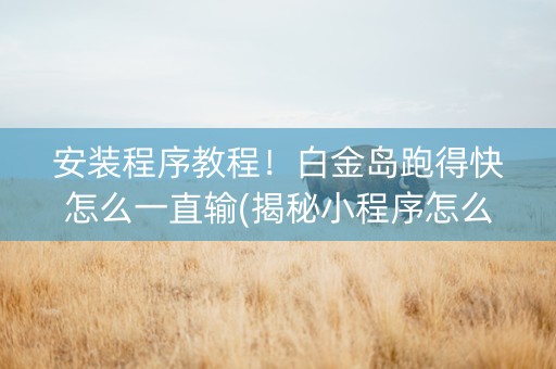 安装程序教程！白金岛跑得快怎么一直输(揭秘小程序怎么容易赢)