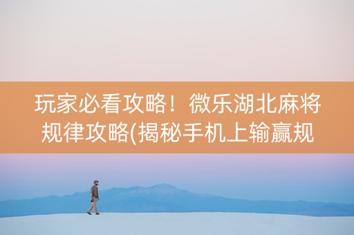 玩家必看攻略！微乐湖北麻将规律攻略(揭秘手机上输赢规律)