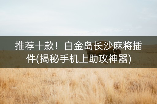 推荐十款！白金岛长沙麻将插件(揭秘手机上助攻神器)