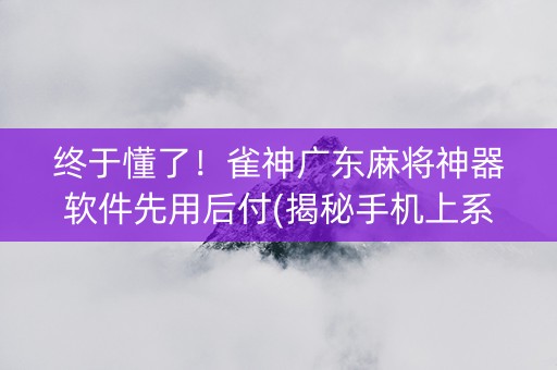 终于懂了！雀神广东麻将神器软件先用后付(揭秘手机上系统发好牌)