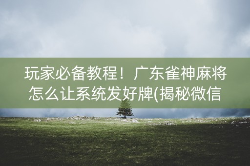 玩家必备教程！广东雀神麻将怎么让系统发好牌(揭秘微信里确实有猫腻)