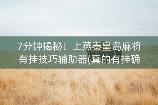 7分钟揭秘！上燕秦皇岛麻将有挂技巧辅助器(真的有挂确实有挂)