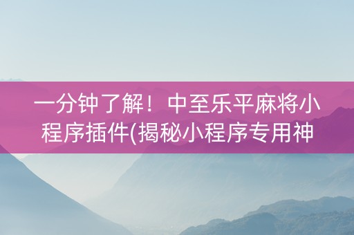 一分钟了解！中至乐平麻将小程序插件(揭秘小程序专用神器)