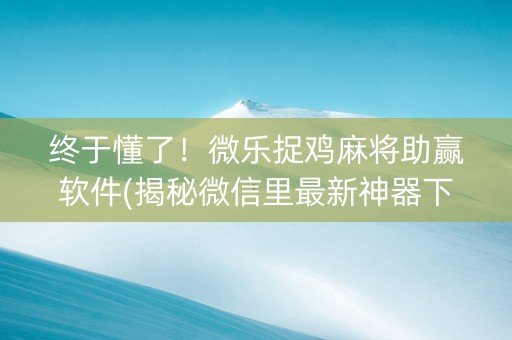 终于懂了！微乐捉鸡麻将助赢软件(揭秘微信里最新神器下载)