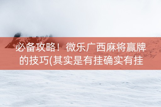 必备攻略！微乐广西麻将赢牌的技巧(其实是有挂确实有挂)