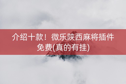 介绍十款！微乐陕西麻将插件免费(真的有挂)
