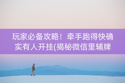 玩家必备攻略！牵手跑得快确实有人开挂(揭秘微信里辅牌器)