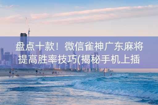 盘点十款！微信雀神广东麻将提高胜率技巧(揭秘手机上插件购买)