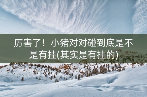 厉害了！小猪对对碰到底是不是有挂(其实是有挂的)