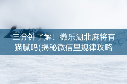 三分钟了解！微乐湖北麻将有猫腻吗(揭秘微信里规律攻略)