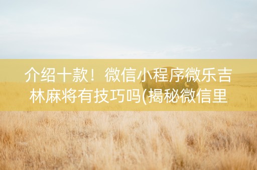 介绍十款！微信小程序微乐吉林麻将有技巧吗(揭秘微信里助赢软件)