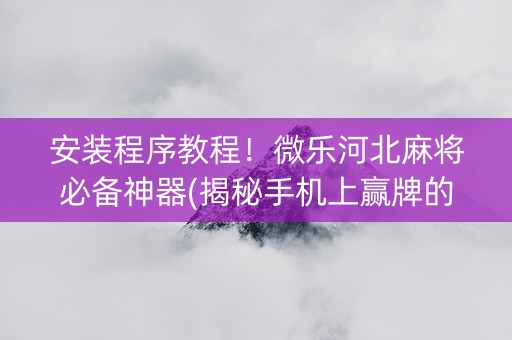 安装程序教程！微乐河北麻将必备神器(揭秘手机上赢牌的技巧)