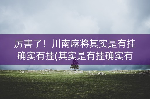 厉害了！川南麻将其实是有挂确实有挂(其实是有挂确实有挂)
