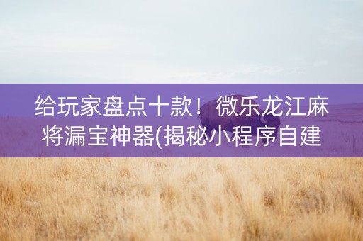 给玩家盘点十款！微乐龙江麻将漏宝神器(揭秘小程序自建房怎么赢)