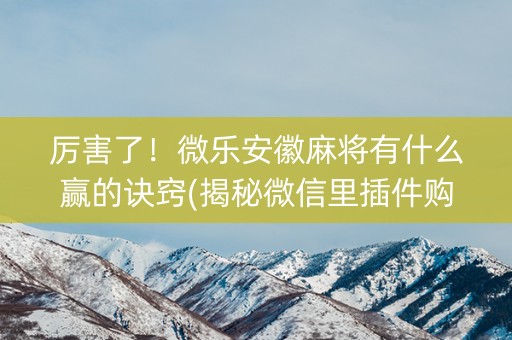 厉害了！微乐安徽麻将有什么赢的诀窍(揭秘微信里插件购买)