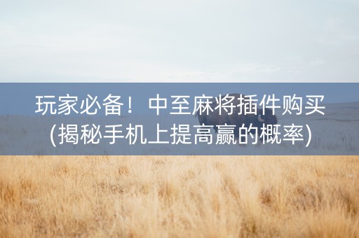 玩家必备！中至麻将插件购买(揭秘手机上提高赢的概率)