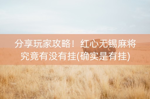 分享玩家攻略！红心无锡麻将究竟有没有挂(确实是有挂)