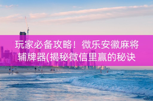 玩家必备攻略！微乐安徽麻将辅牌器(揭秘微信里赢的秘诀)