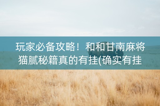 玩家必备攻略！和和甘南麻将猫腻秘籍真的有挂(确实有挂)