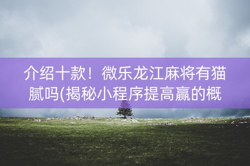 介绍十款！微乐龙江麻将有猫腻吗(揭秘小程序提高赢的概率)