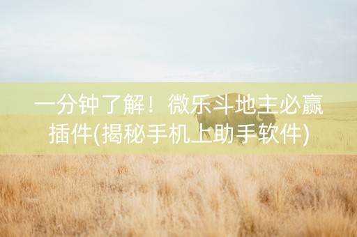 一分钟了解！微乐斗地主必赢插件(揭秘手机上助手软件)
