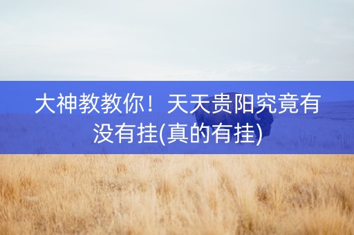 大神教教你！天天贵阳究竟有没有挂(真的有挂)