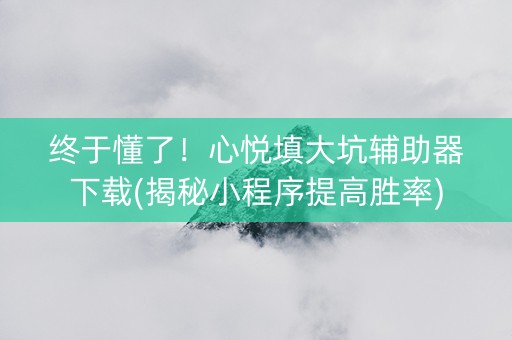 终于懂了！心悦填大坑辅助器下载(揭秘小程序提高胜率)