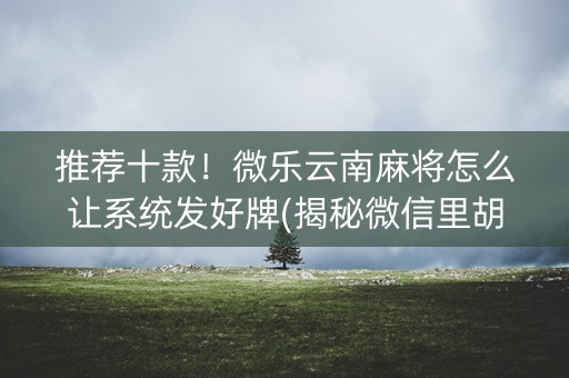 推荐十款！微乐云南麻将怎么让系统发好牌(揭秘微信里胡牌神器)