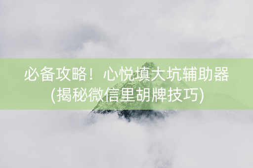 必备攻略！心悦填大坑辅助器(揭秘微信里胡牌技巧)