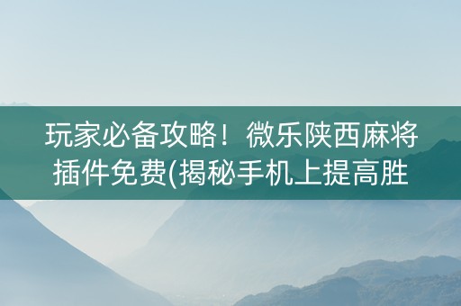 玩家必备攻略！微乐陕西麻将插件免费(揭秘手机上提高胜率)