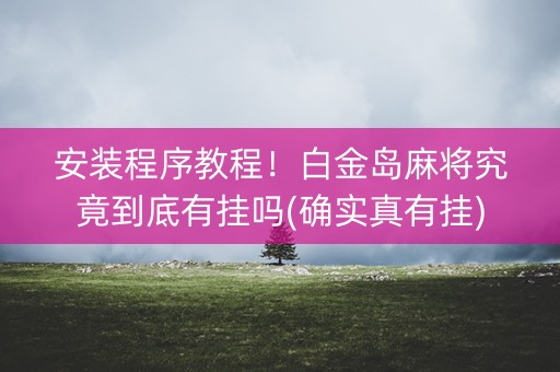 安装程序教程！白金岛麻将究竟到底有挂吗(确实真有挂)