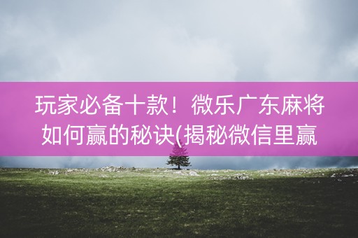 玩家必备十款！微乐广东麻将如何赢的秘诀(揭秘微信里赢的诀窍)