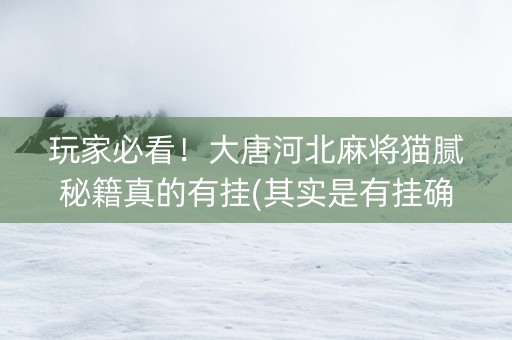 玩家必看！大唐河北麻将猫腻秘籍真的有挂(其实是有挂确实有挂)
