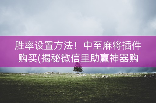 胜率设置方法！中至麻将插件购买(揭秘微信里助赢神器购买)