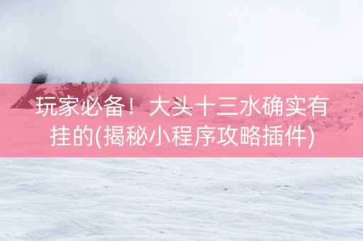 玩家必备！大头十三水确实有挂的(揭秘小程序攻略插件)