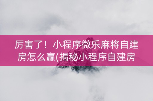 厉害了！小程序微乐麻将自建房怎么赢(揭秘小程序自建房怎么赢)
