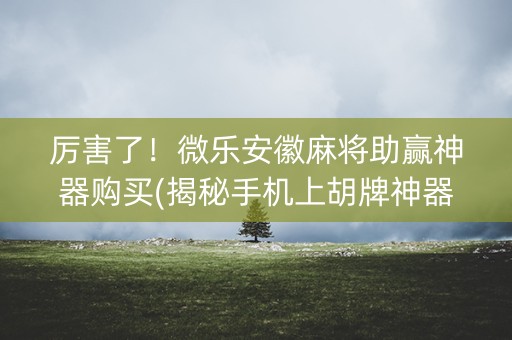 厉害了！微乐安徽麻将助赢神器购买(揭秘手机上胡牌神器)