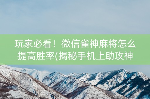 玩家必看！微信雀神麻将怎么提高胜率(揭秘手机上助攻神器)