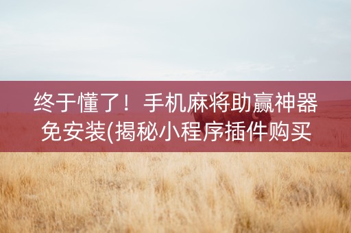 终于懂了！手机麻将助赢神器免安装(揭秘小程序插件购买)